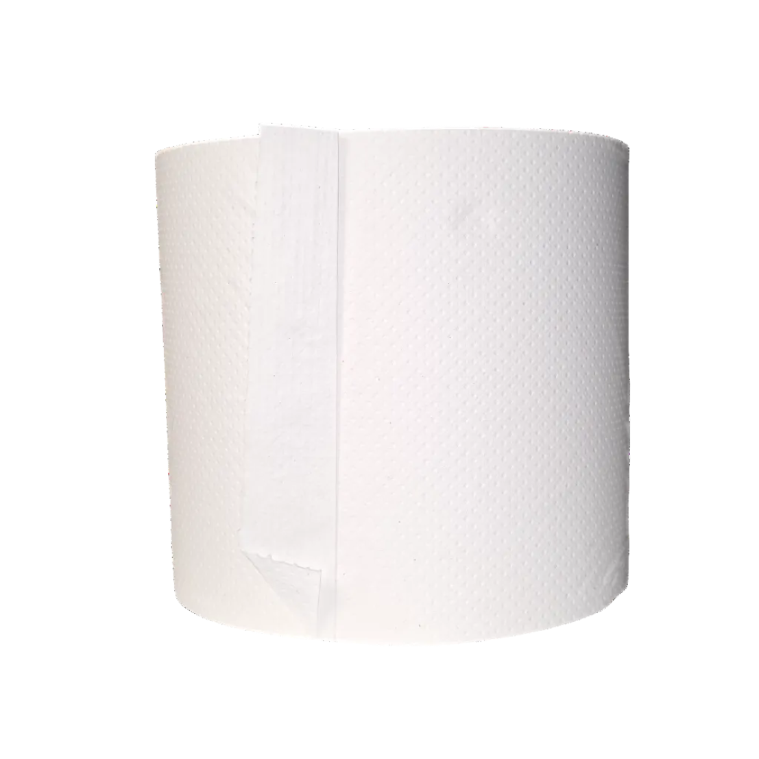 Dura Plus 57760354 Center Pull Roll Towels
